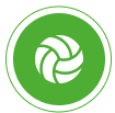 volley ico