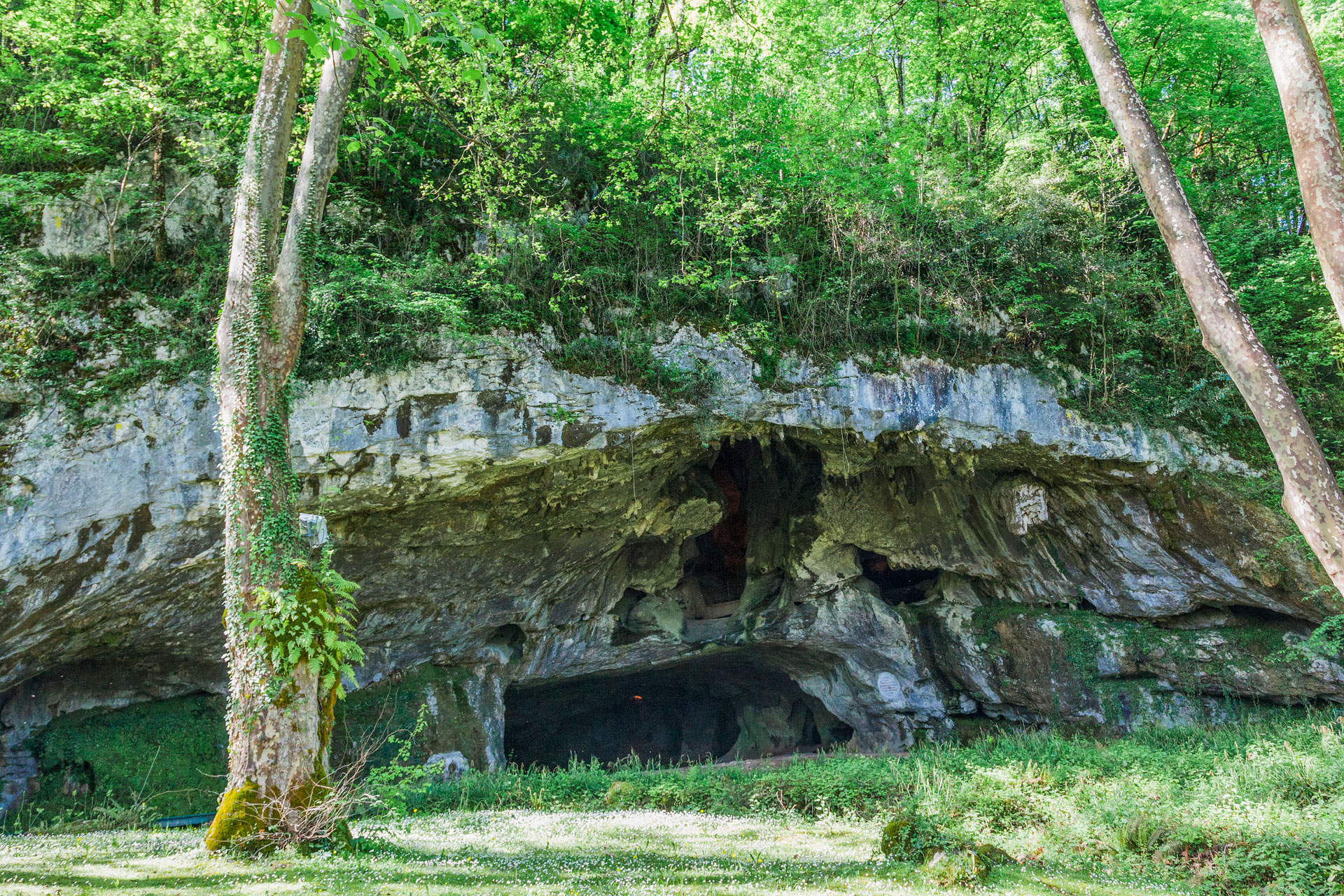 Grotte de sare
