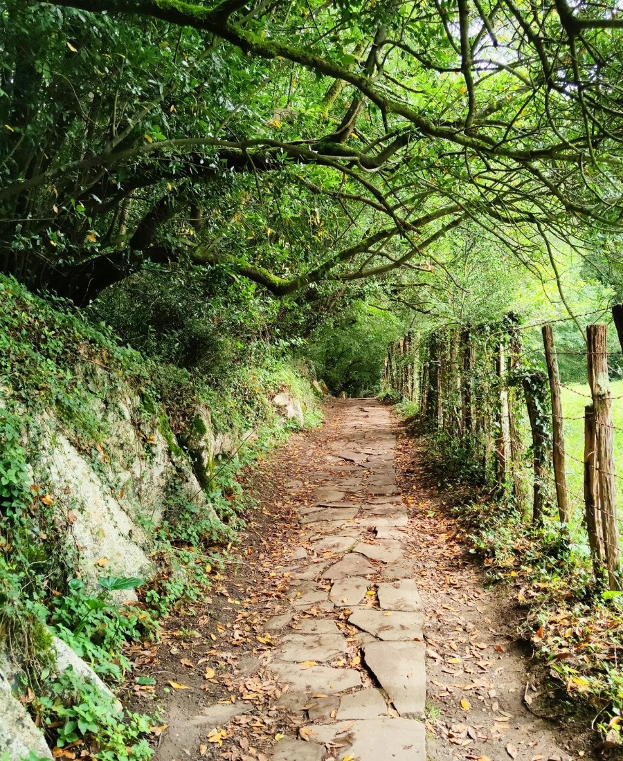 Zugarramurdi chemin